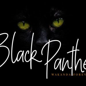 Billystuck Signature