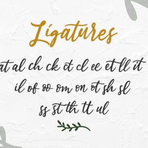 Estylle Madison Calligraphy