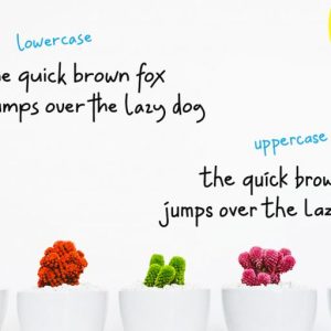 Hey Lucky! Displays Sans