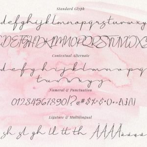 Just Signature Script