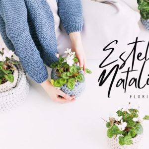 Mistrully Brush Script