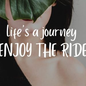 Porcelain Sans Serif