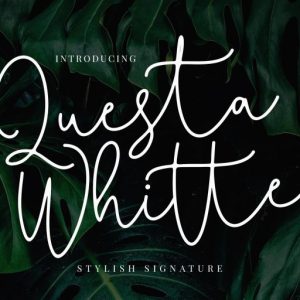 Questa Whitte Script