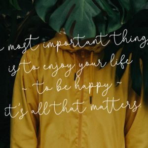 Questa Whitte Script