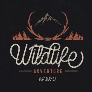 Rampage Monoline Script