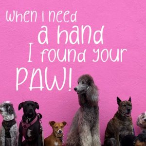 After Sunset Handwritten Condensed