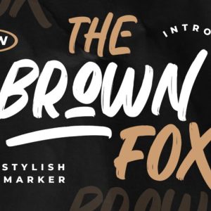 The Brown Fox Stylish Marker