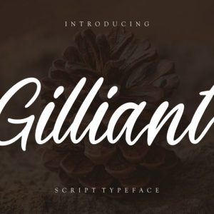 Gilliant Script Typeface