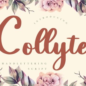 Collyte Handlettering Business Font