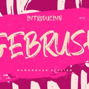 Gebrush Handbrush Stylish