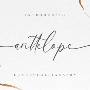 Anttelope Luxury Calligraphy