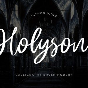 Holyson Calligraphy Brush