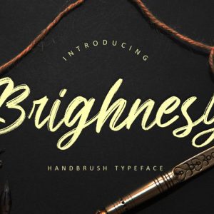 Brighnesy Hand Brush