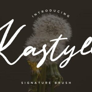 Kastyle Signature Brush