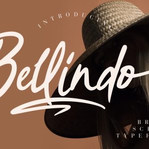 Bellindo Brush Instagram Font