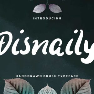 Disnaily Handdrawn Brush