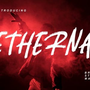 Ethernal Brush Stylish Marker