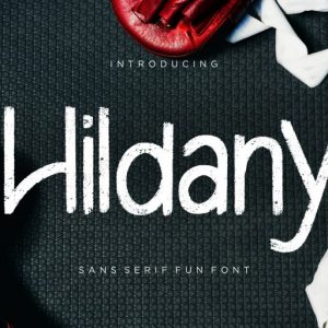 Hildany Sans Fun