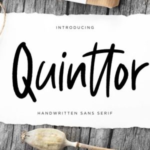 Quinttor Sans Serif