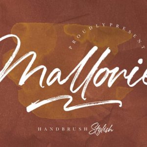 Mallorie Handbrush Stylish