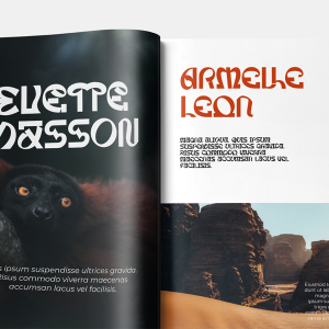 Curtis Modern Display