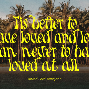 Molland Retro Display