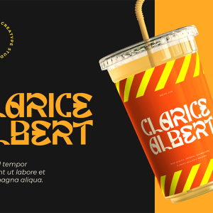 Curtis Modern Display