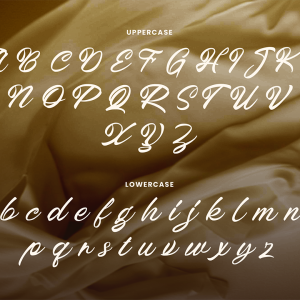 Broocklyn Brush Script