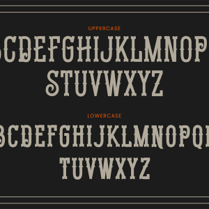 Mattador Vintage Retro Display