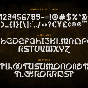 Curtis Modern Display