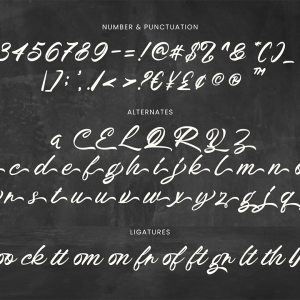 Broocklyn Brush Script
