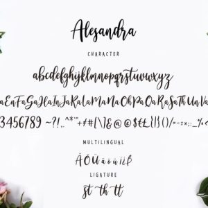 Alesandra Modern Calligraphy