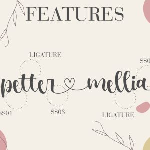 Amanda Michael Modern Wedding Font