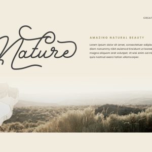 Anabella Monoline Script