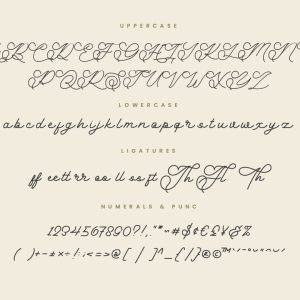 Anabella Monoline Script