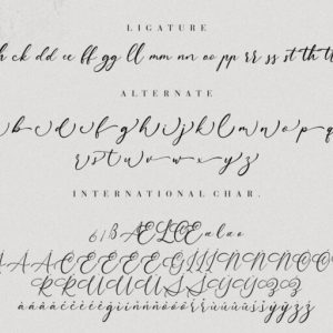 Aurelye Modern Calligraphy