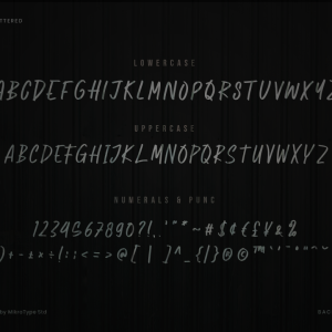 Backyard Natural Business Font