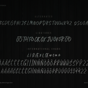 Backyard Natural Business Font