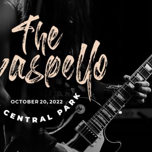 Barttony Handbrush Business Font