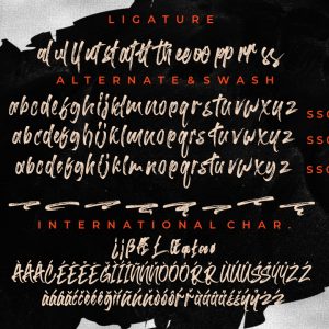 Barttony Handbrush Business Font