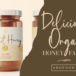 Bellagio Chic Script Typeface