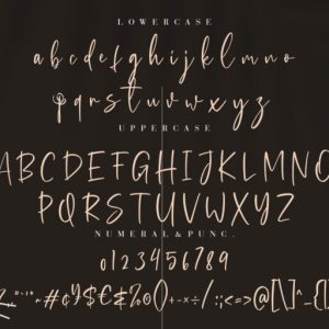 Bellagio Chic Script Typeface