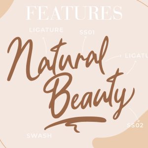 Bellindo Brush Instagram Font