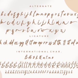 Bellindo Brush Instagram Font