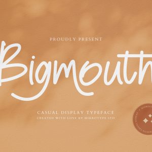 Bigmouth Casual Business Font Special