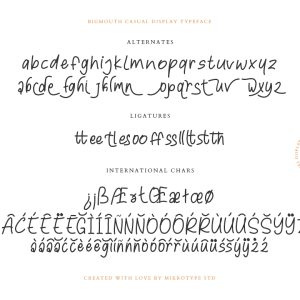 Bigmouth Casual Business Font Special