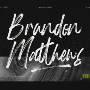 Brandon Matthews Handbrush Script