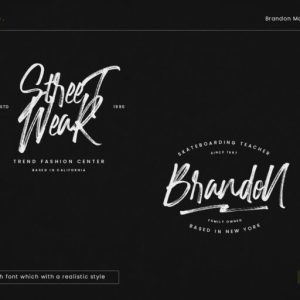 Brandon Matthews Handbrush Script