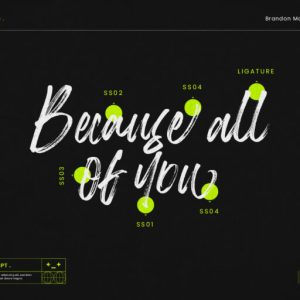 Brandon Matthews Handbrush Script