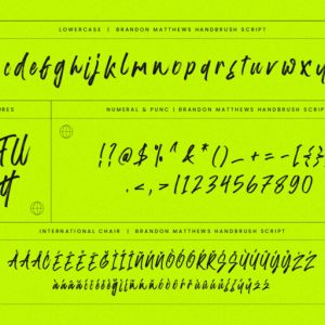 Brandon Matthews Handbrush Script